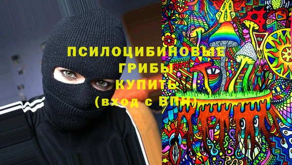 дживик Аркадак