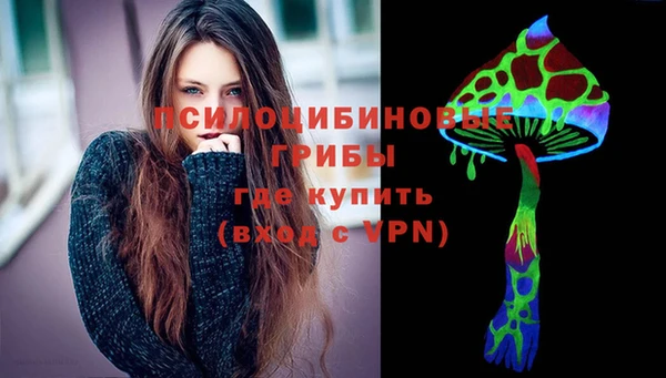 дживик Аркадак