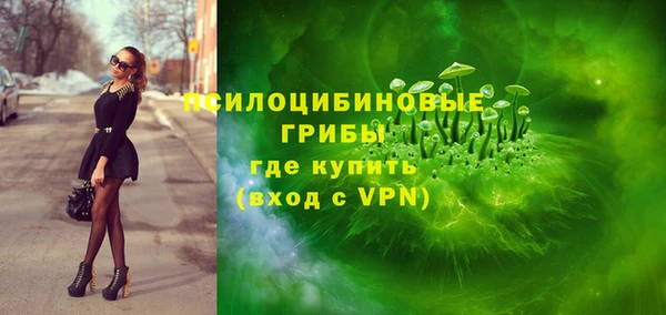 СК Сафоново